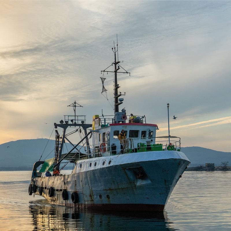 Marine Lubricants